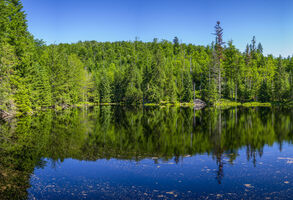 Životní prostředí