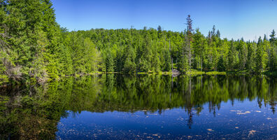 Vraťme vodu přírodě